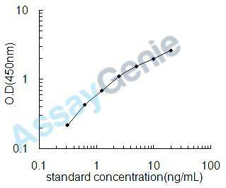 Rat Nuclear factor erythroid 2-related factor 2 (Nfe2l2) ELISA Kit (RTEB1510)