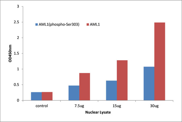 AML1 (Phospho-Ser303)Transcription Factor Activity Assay (TFAB00001)