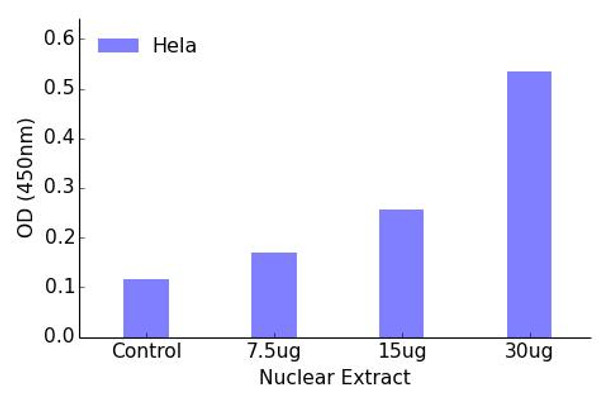 CREB (Phospho-Ser121)Transcription Factor Activity Assay (TFAB00017)
