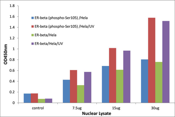 Estrogen Receptor-beta (Phospho-Ser105)Transcription Factor Activity Assay (TFAB00020)