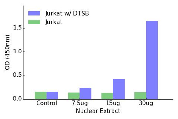 Elk1 (Phospho-Ser383)Transcription Factor Activity Assay (TFAB00021)