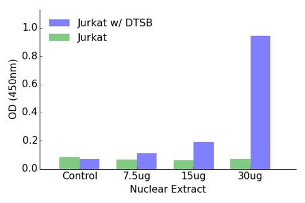 Elk1 (Phospho-Ser389)Transcription Factor Activity Assay (TFAB00022)
