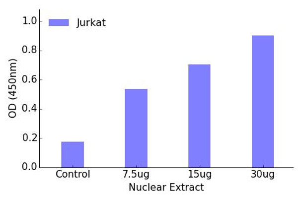 Myc (Phospho-Thr58)Transcription Factor Activity Assay (TFAB00037)