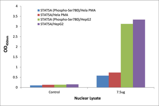 STAT5A (Phospho-Ser780)Transcription Factor Activity Assay (TFAB00057)