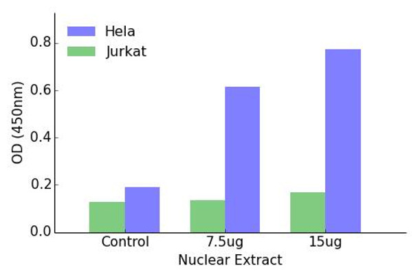 ELF1 Transcription Factor Activity Assay (TFAB00094)