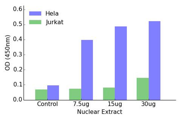 ELF5 Transcription Factor Activity Assay (TFAB00095)