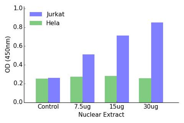 ETS1 Transcription Factor Activity Assay (TFAB00098)