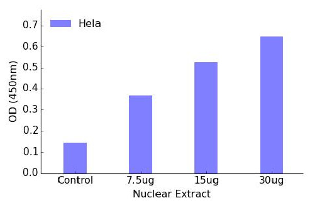 FOXD3 Transcription Factor Activity Assay (TFAB00109)