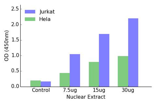 HOXB2 Transcription Factor Activity Assay (TFAB00124)