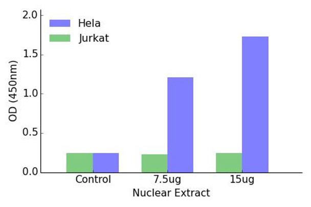 Meis1 Transcription Factor Activity Assay (TFAB00133)