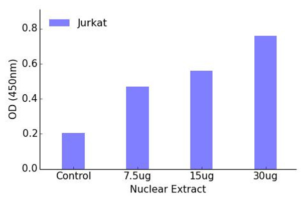 MYC Transcription Factor Activity Assay (TFAB00138)