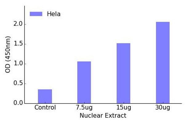 NF-kappaB p100/p52 Transcription Factor Activity Assay (TFAB00139)