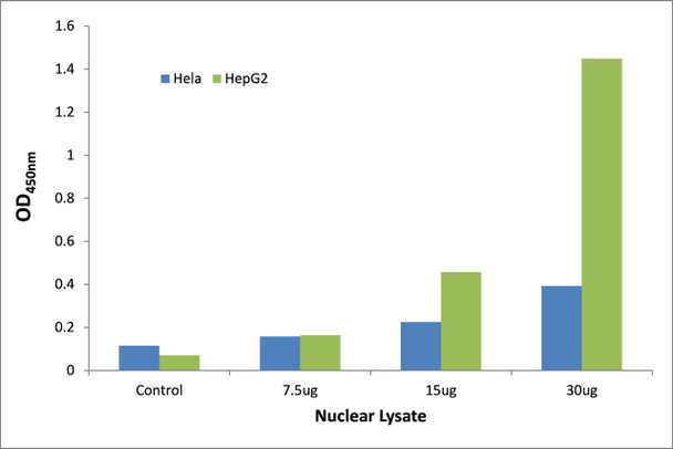 p63 Transcription Factor Activity Assay (TFAB00147)