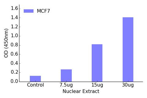 Retinoic Acid Receptor beta Transcription Factor Activity Assay (TFAB00172)