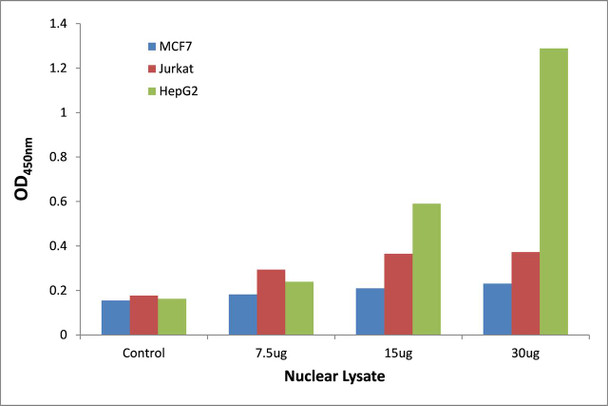 NFAT3 Transcription Factor Activity Assay (TFAB00183)