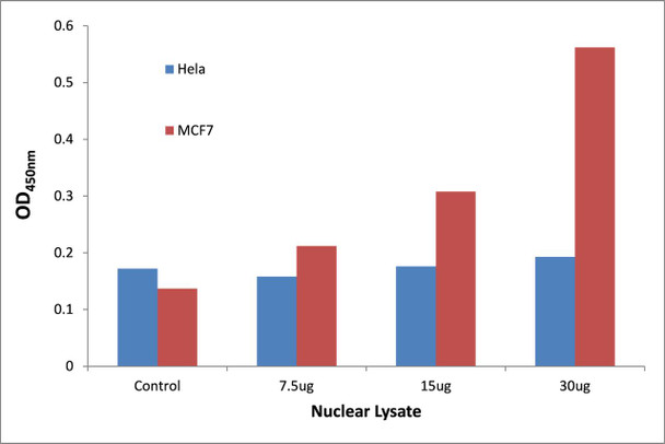 MYSM1 Transcription Factor Activity Assay (TFAB00189)