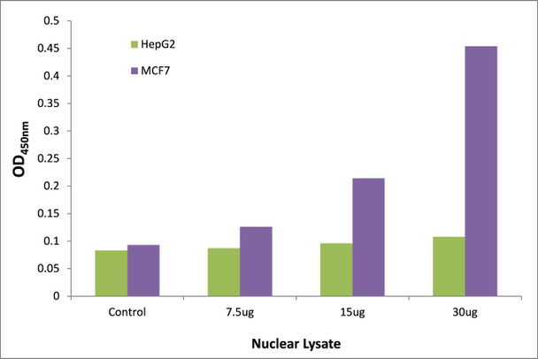 KLF10/11 Transcription Factor Activity Assay (TFAB00195)