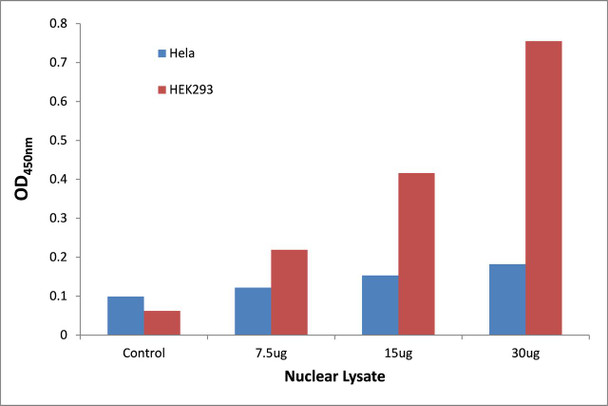 SOX12 Transcription Factor Activity Assay (TFAB00199)