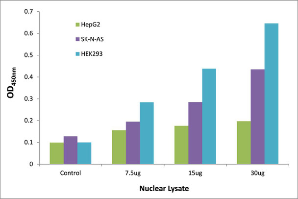 SIX5 Transcription Factor Activity Assay (TFAB00202)