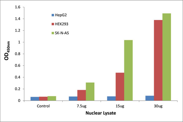 ZEB2 Transcription Factor Activity Assay (TFAB00206)