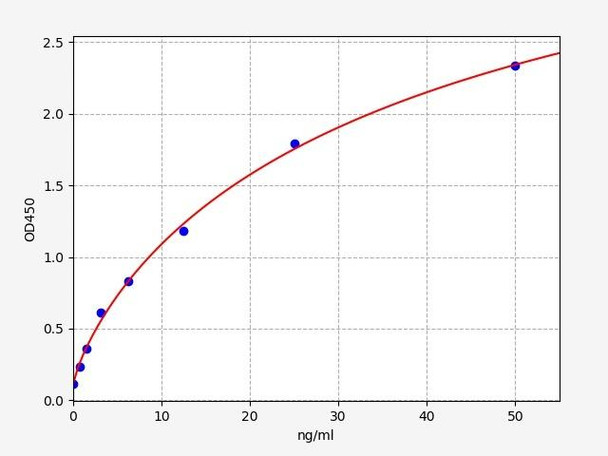 Rat Irisin ELISA Kit (RTFI01474)