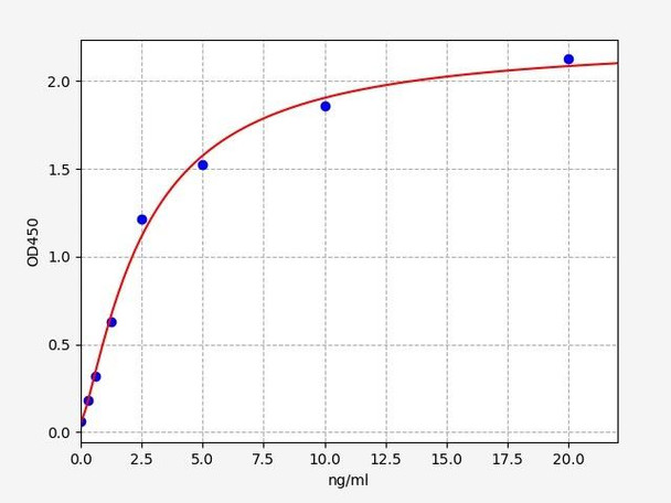 Rat ACE / Angiotensin Converting Enzyme 1 ELISA Kit