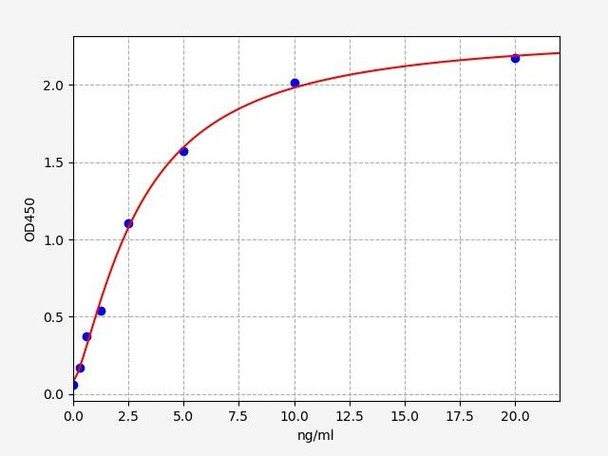 Rabbit IgM (Immunoglobulin M) ELISA Kit (RBFI00159)