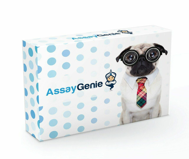 Human ASBT ELISA Kit (HUFI04615)