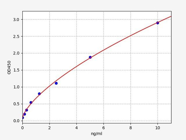 Human WBP2 (WW domain-binding protein 2) ELISA Kit (HUFI08305) Human WBP2 (WW domain-binding protein 2) ELISA Kit (HUFI08305)
