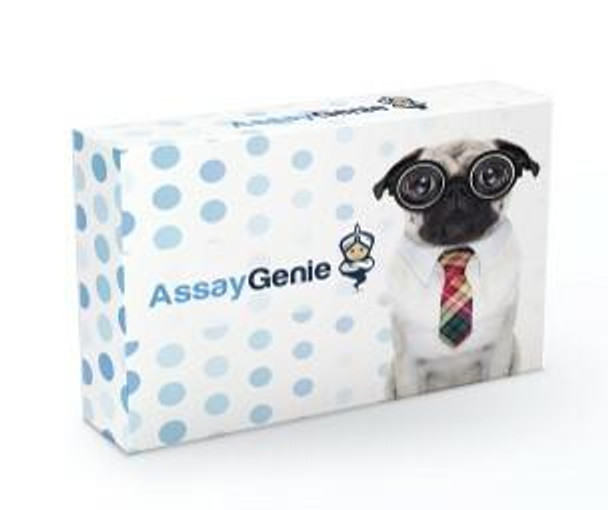 Mouse IL-15 PharmaGenie ELISA Kit (SBRS1414)