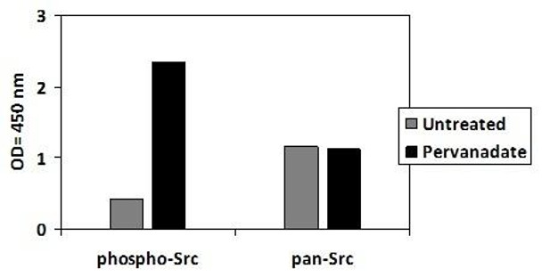 Human Phospho-SRC (Y419) and Total SRC PharmaGenie ELISA Kit (SBRS1979)