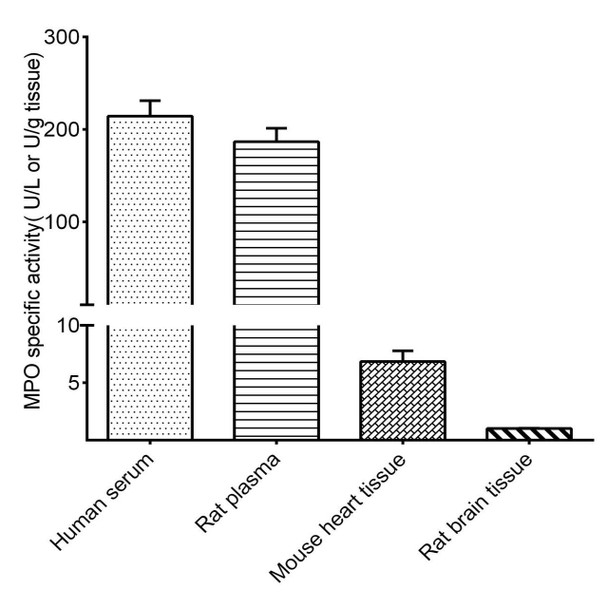 Myeloperoxidase (MPO) Activity Assay Kit (MAES0076)