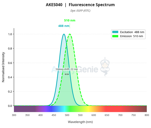Annexin V-EGFP/7-AAD Apoptosis Kit (AKES040)