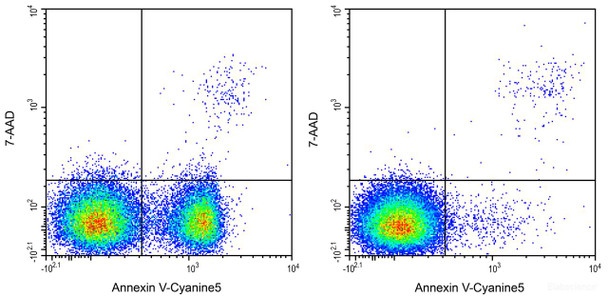 Annexin V-Cyanine5/7-AAD Apoptosis Kit (AKES042)