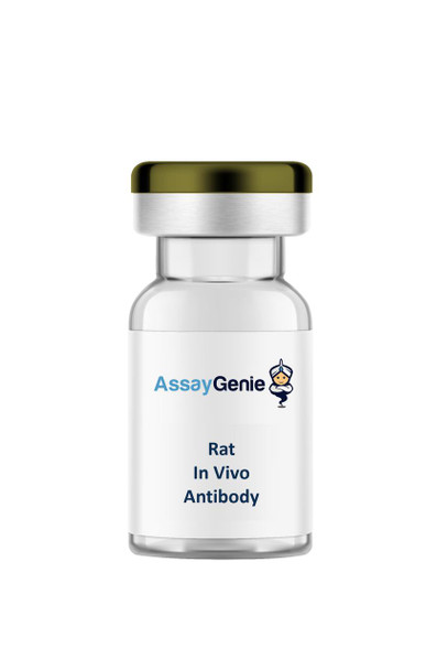 Anti-Rat Kappa Light Chain In Vivo Antibody - Ultra Low Endotoxin (IVMB0306)