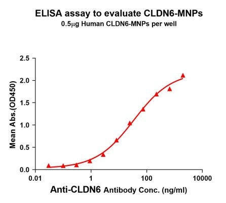 Human CLDN6 Full-Length Bioactive Membrane Protein (HDFP132)