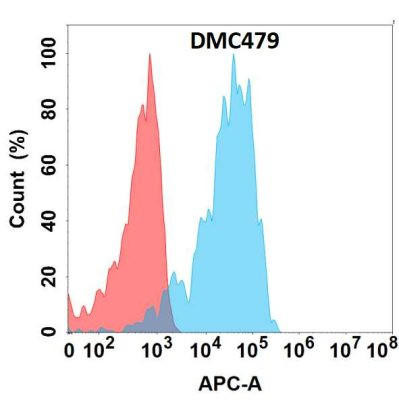 Anti-APCDD1 Chimeric Recombinant Rabbit Monoclonal Antibody (HDAB0305)