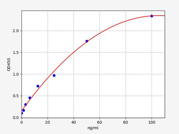 Rat SARS-CoV-2 Spike RBD Alpha (B.1.1.7 UK Variant) IgG ELISA Kit (AEFI00981)