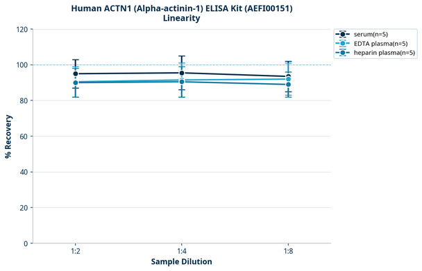 Human ACTN1 (Alpha-actinin-1) ELISA Kit (AEFI00151)