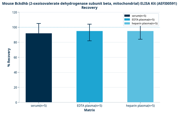 Mouse Bckdhb (2-oxoisovalerate dehydrogenase subunit beta, mitochondrial) ELISA Kit (AEFI00591)
