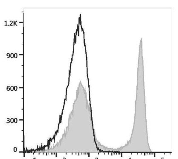 PE Anti-Rat CD45RA Antibody [OX-33] (AGEL3424)