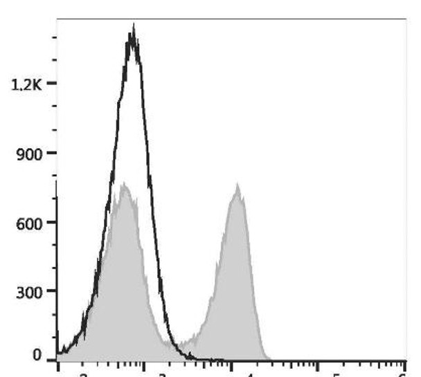 GenieFluor 488 Anti-Rat CD45RA Antibody [OX-33] (AGEL3426)