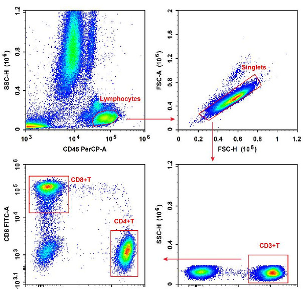 Anti-Human CD8a-FITC/CD4-PE/CD3-PE/Cyanine7/CD45-PerCP Cocktail (AGEL3478)