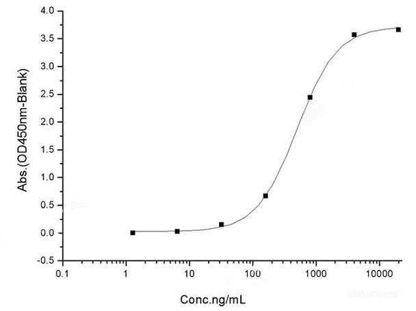 SARS-CoV Spike S1+S2 ECD-His Recombinant Protein (S577A, Isolate Tor2) (RPES6999)