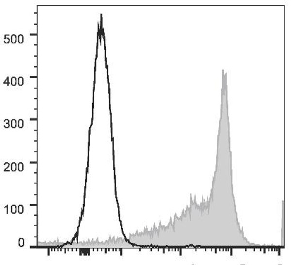 PE Anti-Rat CD44H Antibody [OX-49] (AGEL2427)