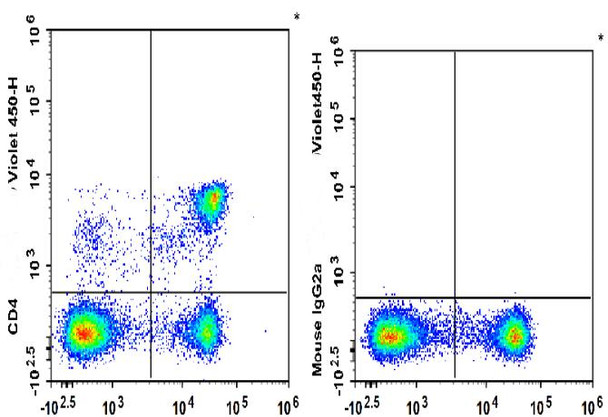 GenieFluor Violet 450 Anti-Rat CD4 (domain 1) Antibody [OX-38] (AGEL3009)