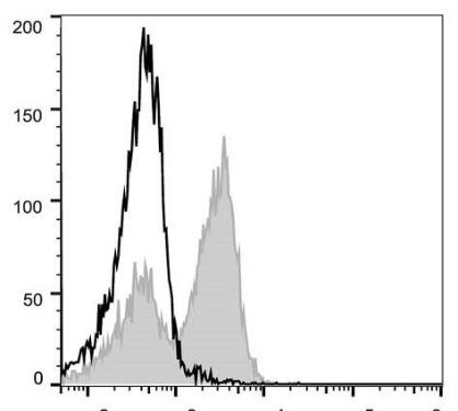 PE Anti-Mouse CD3Îµ Antibody [145-2C11] (AGEL2202)