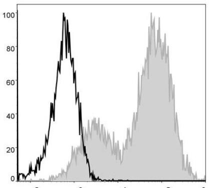 PE/Cyanine5 Anti-Mouse MHC II (I-A/I-E) Antibody [M5/114] (AGEL0024)