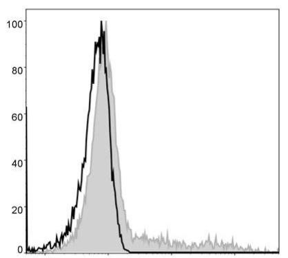 FITC Anti-Human HLA-DR Antibody [L243] (AGEL0415)