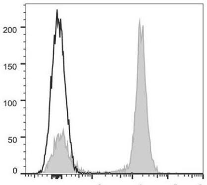 GenieFluor 647 Anti-Mouse CD19 Antibody [1D3] (AGEL0478)